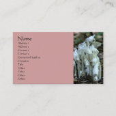 ホワイトインディアンパイプワイルドフラワーズ名刺 名刺 (正面)