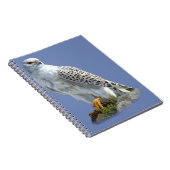 ホワイトイーグル ノートブック (右側)