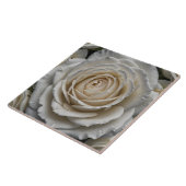 ホワイトウェットバラクローズアップデザイン タイル (側面)