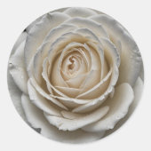 ホワイトウェットバラクローズアップデザイン ラウンドシール (正面)