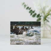 ホワイトウォーターラフティング ポストカード (スタンド正面)