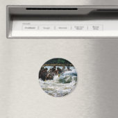 ホワイトウォーターラフティング マグネット (インサイチュ (食洗機))