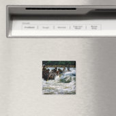 ホワイトウォーターラフティング マグネット (インサイチュ (食洗機))