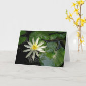 ホワイトウォーター・リリー カード (黄色い花)