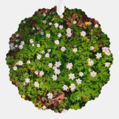 ホワイトウッドアネモン春の花 オーナメントカード (裏面)