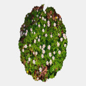 ホワイトウッドアネモン春の花 オーナメントカード (右)