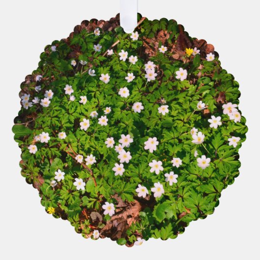 ホワイトウッドアネモン春の花 オーナメントカード (正面)