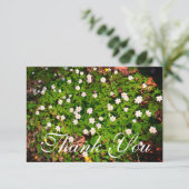 ホワイトウッドアネモン春の花 サンキューカード (スタンド正面)