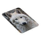 ホワイトウルフ可撓磁石 マグネット (右側)