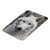 ホワイトウルフ可撓磁石 マグネット (左側)