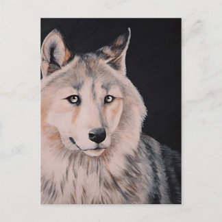 ホワイトウルフ絵画ズバイディディ ポストカード