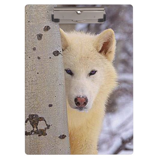 ホワイトウルフ クリップボード (正面)