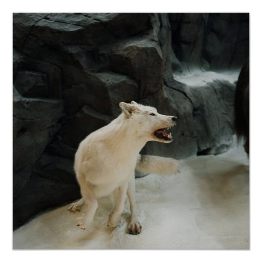 ホワイトウルフ ポスター (正面)