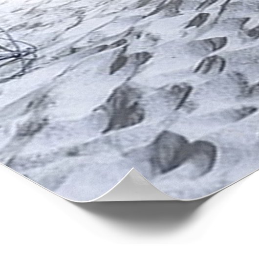 ホワイトウルフ ポスター (角)