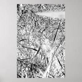 ホワイトエイリアングラス ポスター