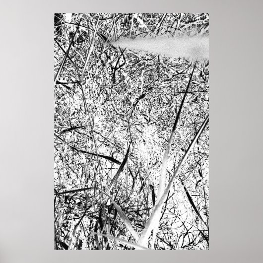 ホワイトエイリアングラス ポスター (正面)