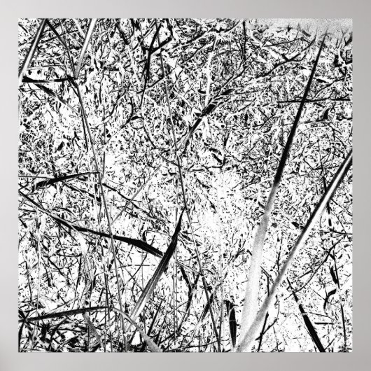 ホワイトエイリアングラス ポスター (正面)