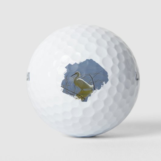 ホワイトエグレエレガントット写真鳥穏やかな水自然 ゴルフボール (正面)
