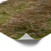 ホワイトエグレット2ポスター ポスター (角)