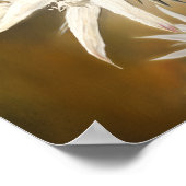 ホワイトエーデルワイスフラワーアートプリントポスター ポスター (角)