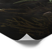 ホワイトエーデルワイスフラワーズアートプリントポスター ポスター (角)