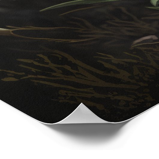 ホワイトエーデルワイスフラワーズアートプリントポスター ポスター (角)