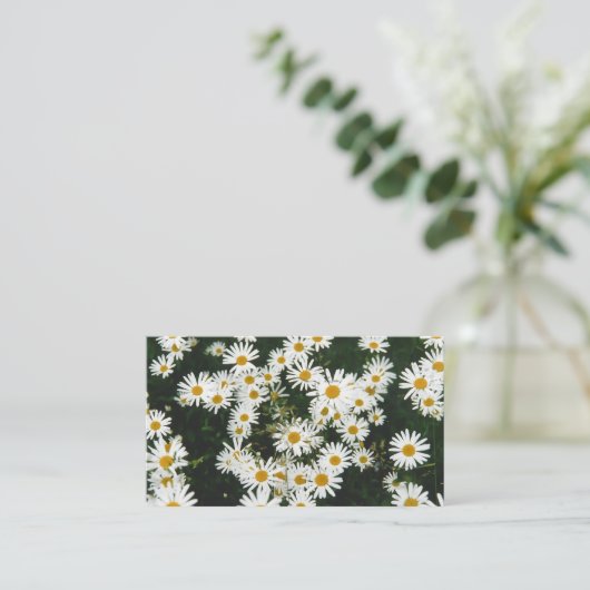 ホワイトオキシーゼイダイジー、ムーンダイジー草原 エンクロージャーカード (スタンド正面)