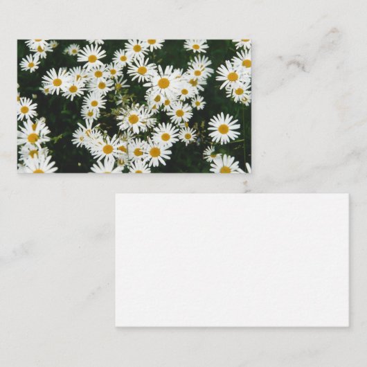 ホワイトオックスアイデイジームーンデイジーメドウ エンクロージャーカード (正面/裏面)
