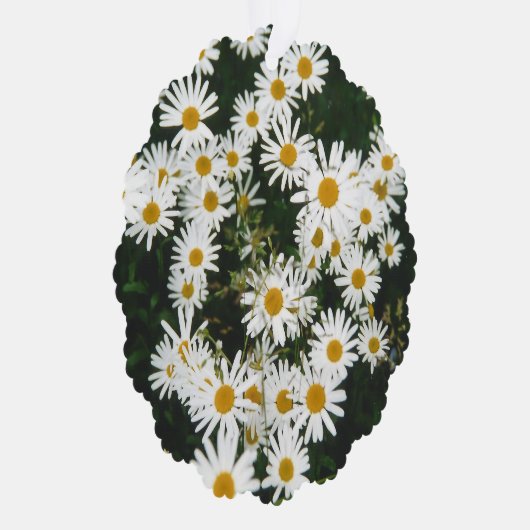 ホワイトオックスアイデイジームーンデイジーメドウ オーナメントカード (右)