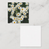 ホワイトオックスアイデイジームーンデイジーメドウ ノートカード (正面/裏面)