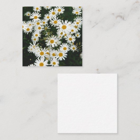 ホワイトオックスアイデイジームーンデイジーメドウ ノートカード (正面/裏面)