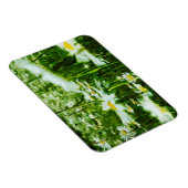 ホワイトオックスアイデイジー抽象芸術フローラ マグネット (右側)