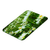 ホワイトオックスアイデイジー抽象芸術フローラ マグネット (左側)