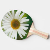 ホワイトオックスアイデイジー – ユカンセムバルガレ 卓球ラケット (横)