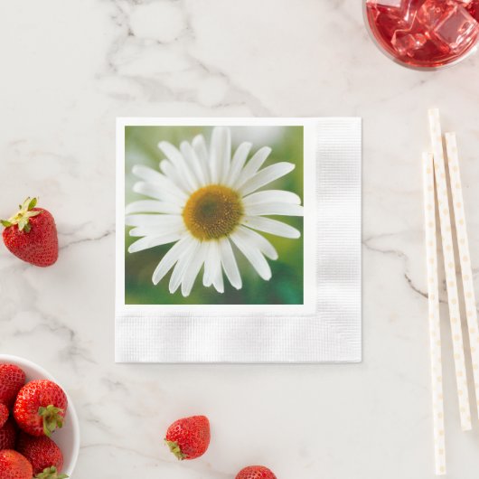 ホワイトオックスアイデイジー – ユカンセムバルガレ 縁ありカクテルナプキン (インサイチュ)