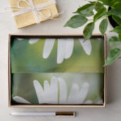 ホワイトオックスアイデイジー – ユカンセムバルガレ 薄葉紙 (ギフト)