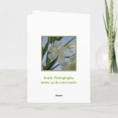 ホワイトオレアンダー花カード カード (裏面)