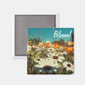 ホワイトオレンジデイジー花開花磁石 マグネット (正面/裏面)