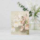 ホワイトオーキズフラワーヴィンテージオールドイラストレーション ポストカード (スタンド正面)