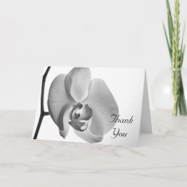 ホワイトオーキッドありがとう サンキューカード