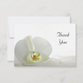 ホワイトオーキッドとヴェイルフラットサンキューノート 招待状 (正面)