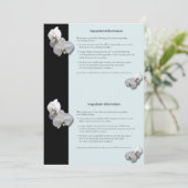 ホワイトオーキッドの情報シート 招待状 (スタンド正面)