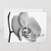 ホワイトオーキッドウェディングRSVP応答カード 出欠カード (正面/裏面)