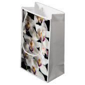 ホワイトオーキッドスプレー スモールペーパーバッグ (裏面アングル)