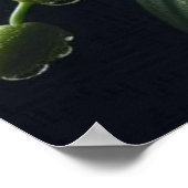 ホワイトオーキッドフローラ ポスター (角)