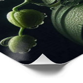 ホワイトオーキッドフローラ ポスター (コーナー)