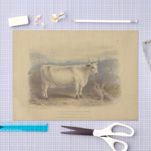 ホワイトカウエフエメラデクページヴィンテージファーム 薄葉紙 (クラフト)