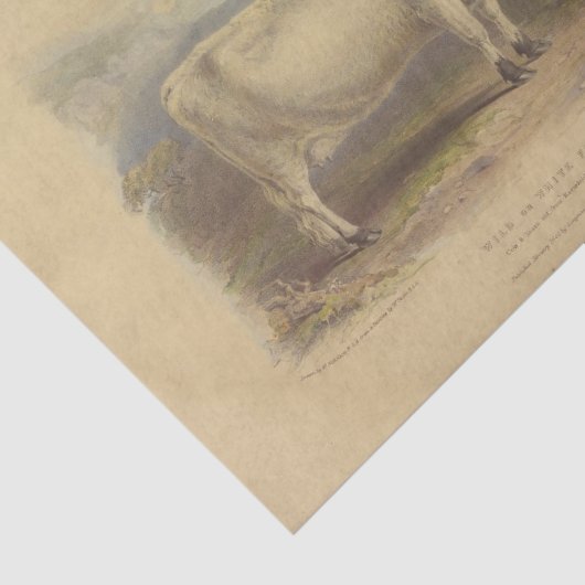 ホワイトカウエフエメラデクページヴィンテージファーム 薄葉紙 (詳細)