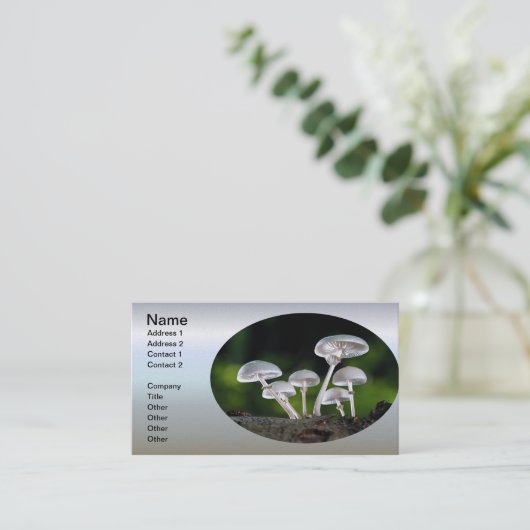 ホワイトカキ秋のこ 名刺 (スタンド正面)