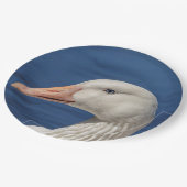 ホワイトカナダガチョウ ペーパープレート (アングル)